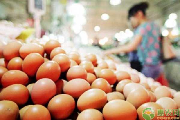 近月鸡蛋价格再次冲高，2019年后期鸡蛋还会涨价吗?