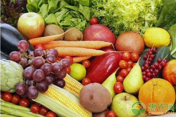 有机蔬菜是什么意思？有机蔬菜和无机蔬菜的区别