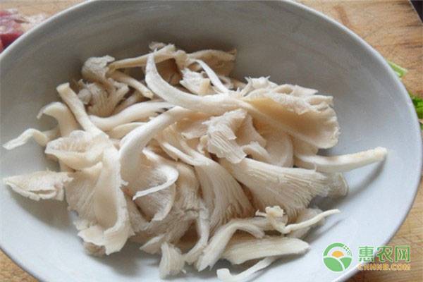 凤尾菇的功效和作用，凤尾菇和平菇有哪些区别？