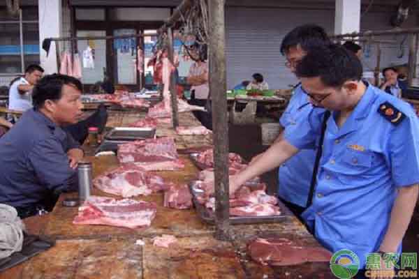 六安猪价多少钱一斤?猪肉价格何时能回归?