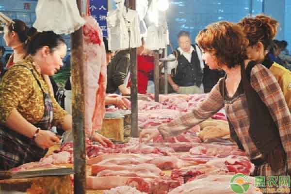 六安猪价多少钱一斤?猪肉价格何时能回归?