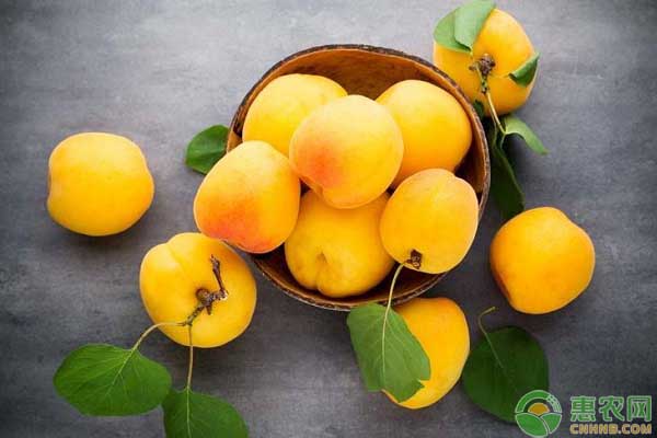 今日桃子多少钱一斤?中国好吃的桃子排行
