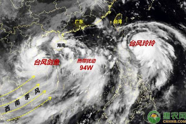 2019最新台风消息：第13号台风玲玲和第14号台风剑鱼路径