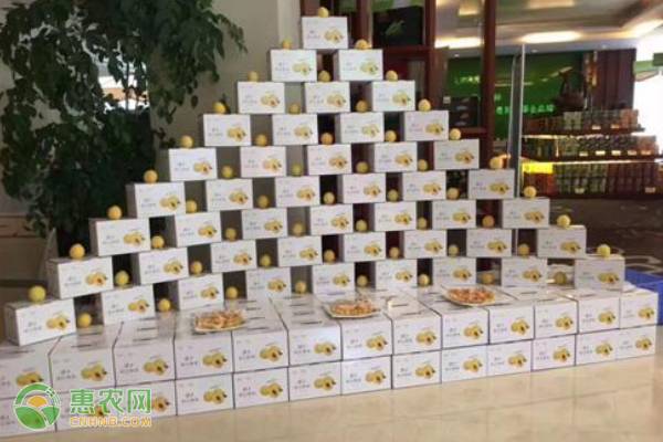 惠农网团队助力桂东黄桃上行电商化，实现黄桃销售达20万斤！