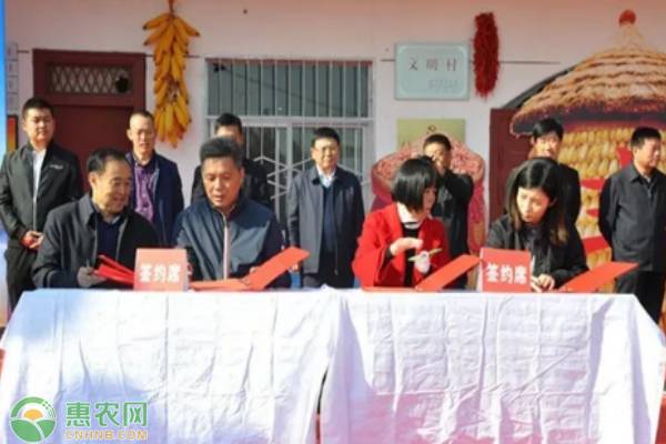 惠农网团队助推宜川县经济发展，助力产业脱贫！