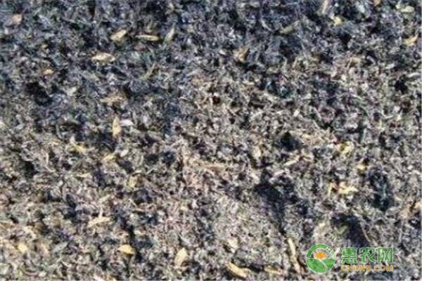 稻壳灰的主要成分分析，稻壳灰对植物有哪些作用？