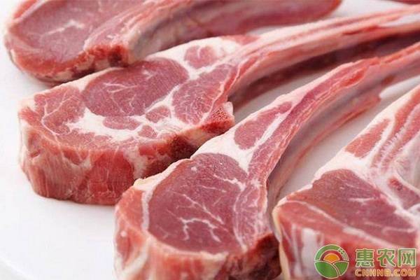 今日羊肉价格多少钱一斤？2019全国最新羊肉价格行情分析