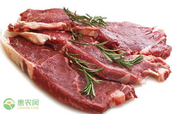 今日牛肉多少钱一斤？2019牛肉最新价格行情走势分析