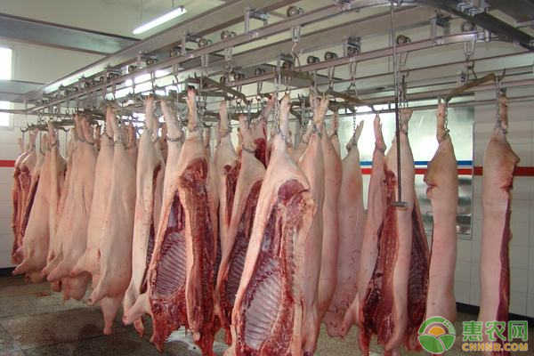 为什么现在猪肉价格疯涨？疯涨的原因是什么？