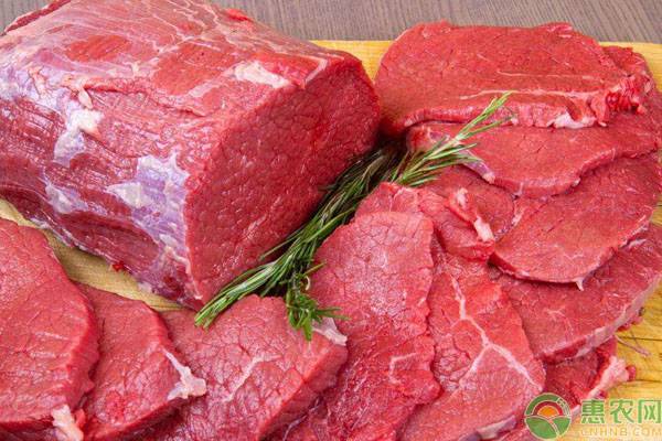 临近春节，牛肉价格或达历史高位？10月30日全国牛肉价格最新行情预测