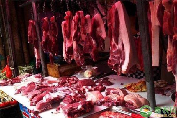 上周猪肉价格上涨11%，11月猪肉还会大涨吗？
