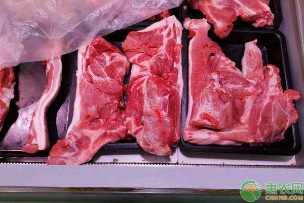 猪肉何时能回到正常价位？2019年下半年猪肉价格最新走势预测