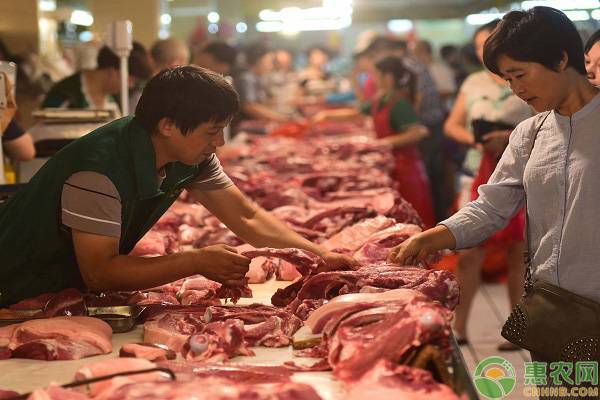 猪肉何时能回到正常价位？2019年下半年猪肉价格最新走势预测